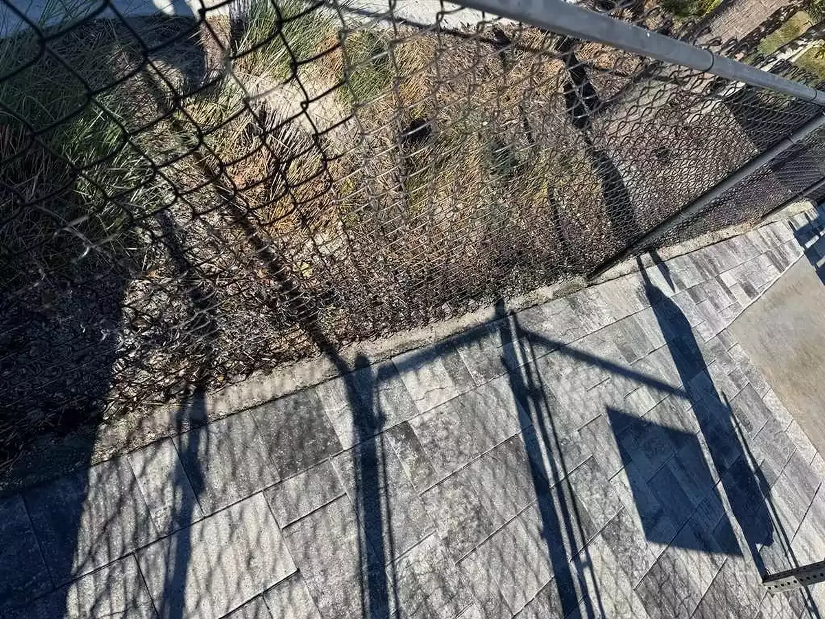 Completed paver surface and border at an Osprey, Florida commercial dog park