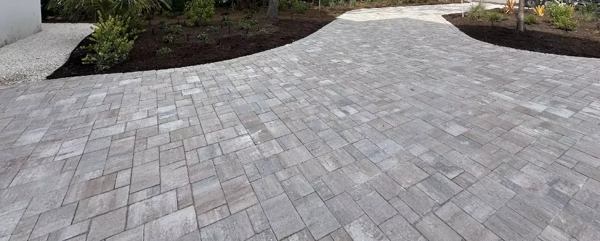 Concrete paver driveway after maintenance and releveling in Sarasota, Florida
