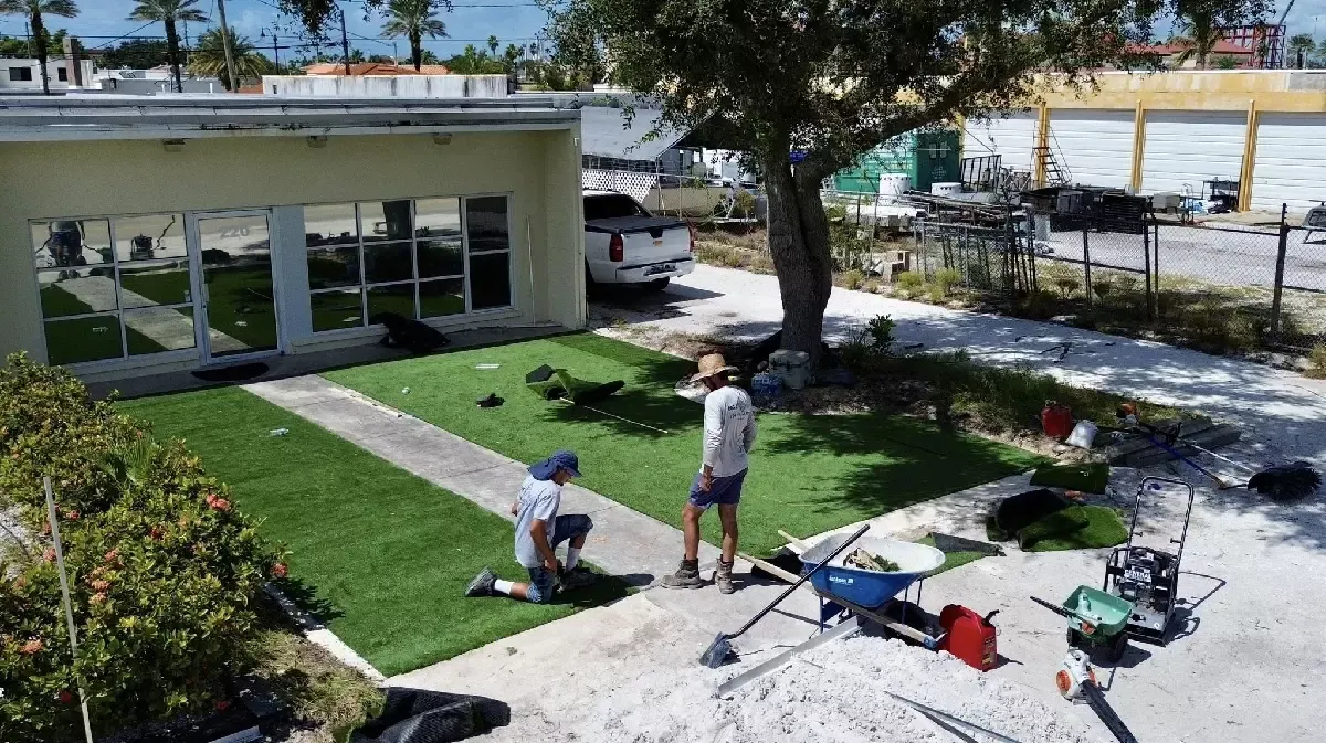Artificial turf lawn beside a concrete entrance walkway at a commercial building on Venice Island, Florida